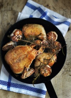 Bruce's Cookbook - 