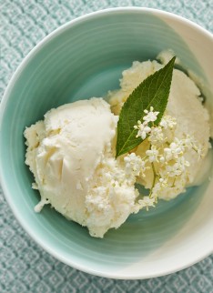 Stephen Harris for The Telegraph Food and Drink - Photography by Andrew Twort