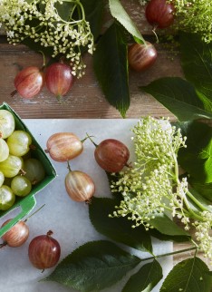 Stephen Harris for The Telegraph Food and Drink - Photography by Andrew Twort