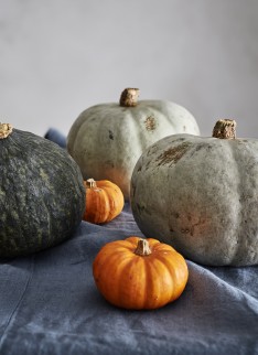 Stephen Harris for The Telegraph Food and Drink - Photography by Andrew Twort