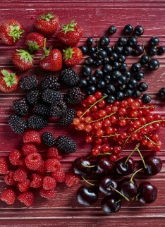 Stephen Harris for The Telegraph Food and Drink - Photography by Andrew Twort